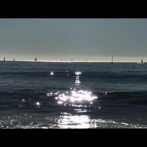 Meet your Posher, Troy